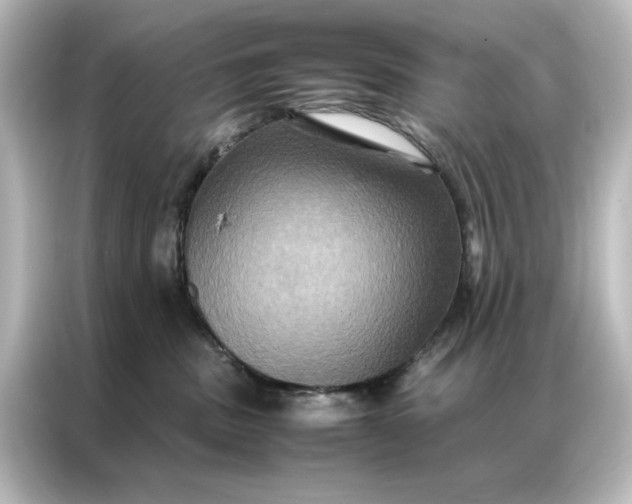 X0000087060379200705021222