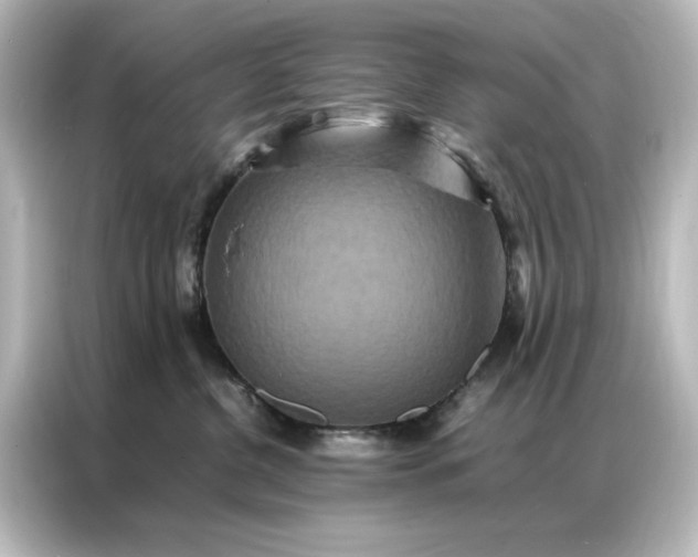 X0000087060380200705021222