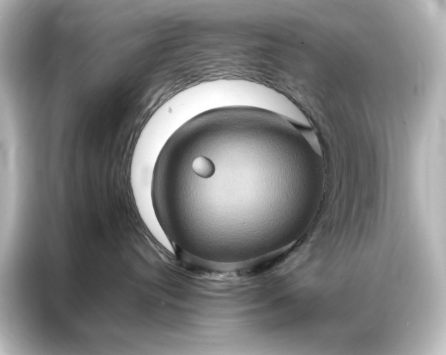 X0000087060384200705021222