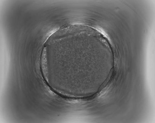 X0000087060385200705021221