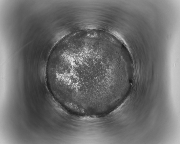 X0000087060386200705021221