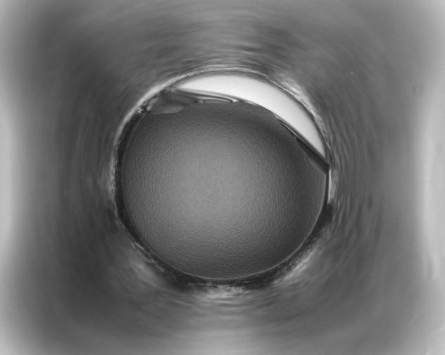 X0000087060387200705021221