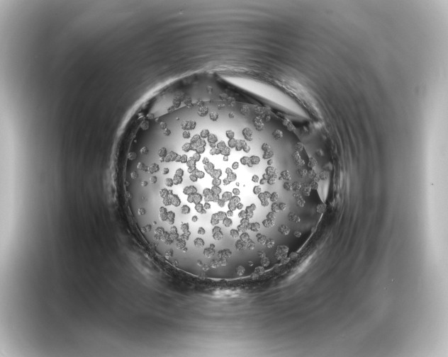 X0000087060388200705021221