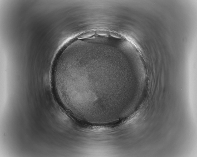 X0000087060391200705021221