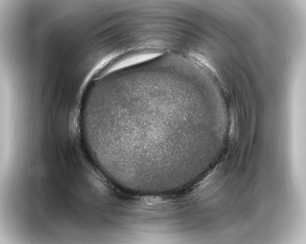 X0000087060392200705021221