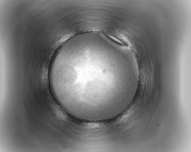 X0000087060394200705021221