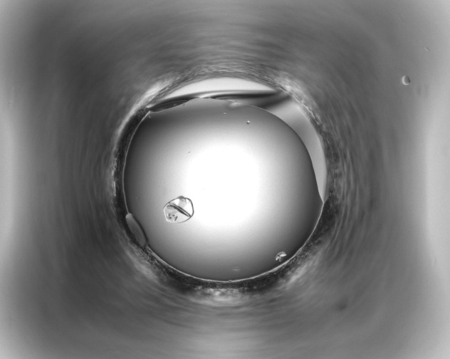 X0000087060395200705021221