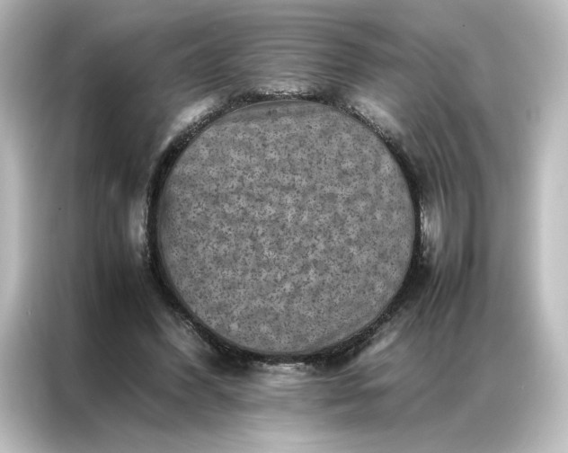 X0000087060396200705021221