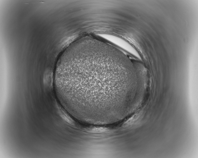 X0000087060397200705021221