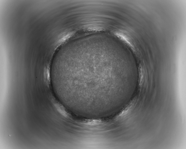 X0000087060398200705021221