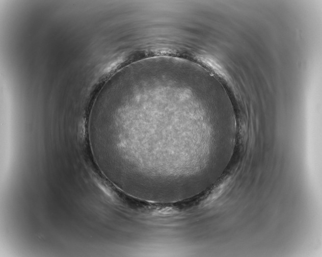 X0000087060401200705021221