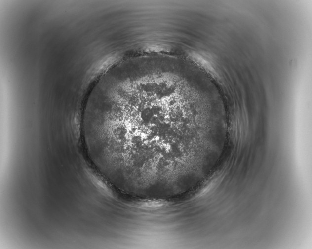 X0000087060402200705021221