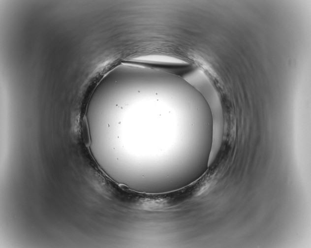 X0000087060403200705021221