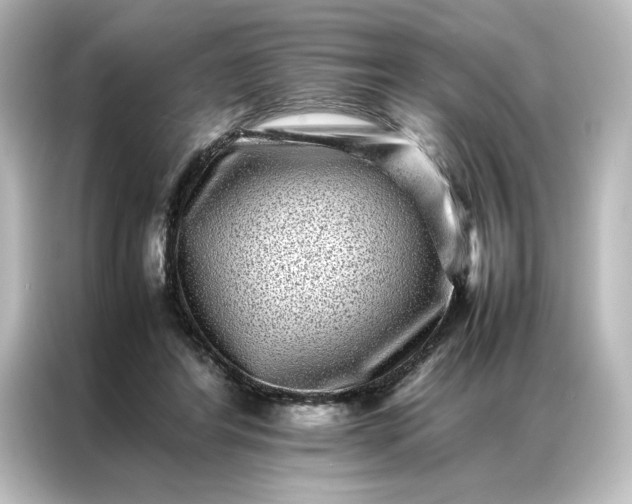 X0000087060404200705021221