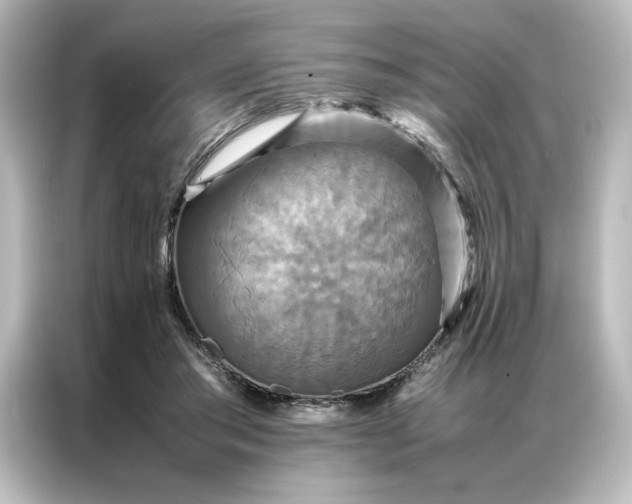 X0000087060405200705021221