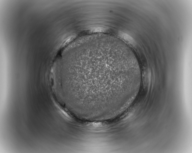 X0000087060406200705021221