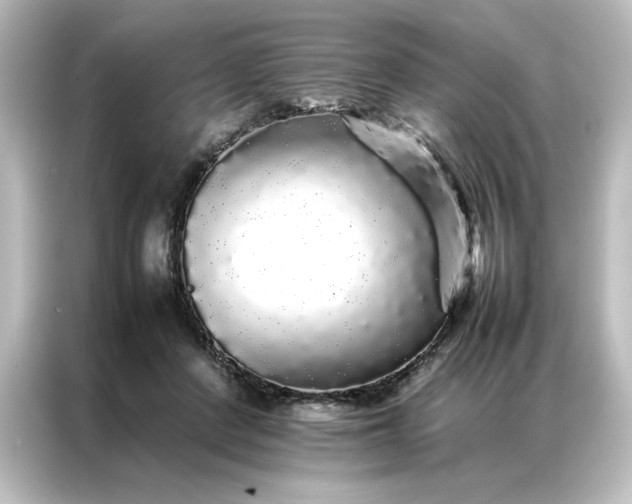 X0000087060408200705021220