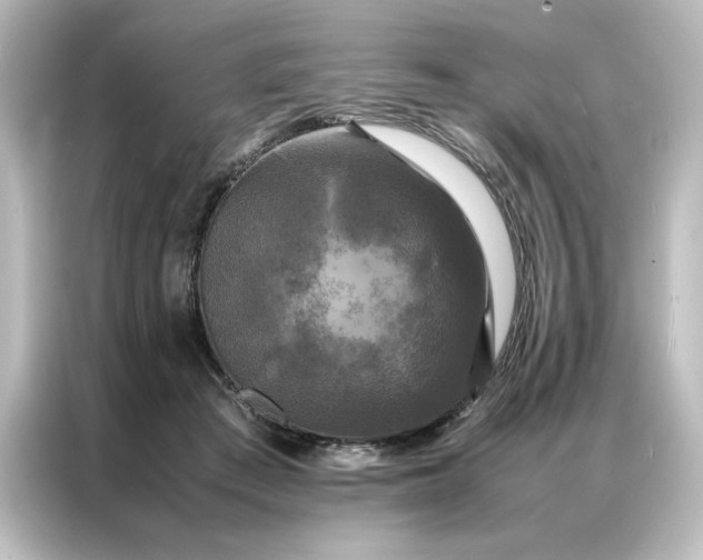 X0000087060409200705021220