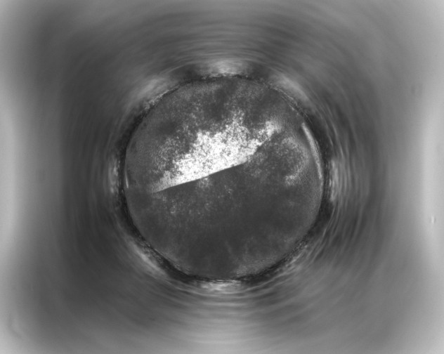 X0000087060410200705021220