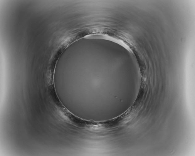 X0000087060411200705021220