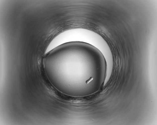 X0000087060412200705021220