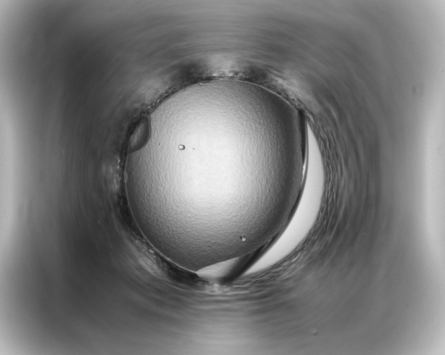 X0000087060413200705021220