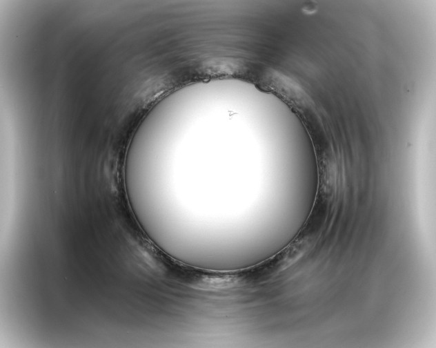 X0000087060414200705021220