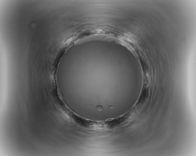 X0000087060415200705021220