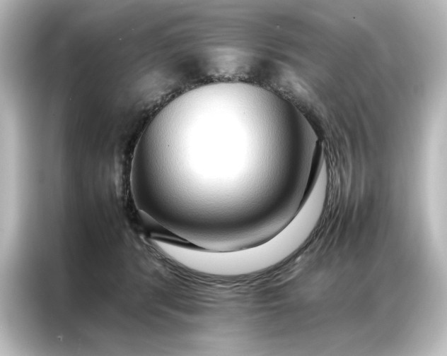 X0000087060416200705021220