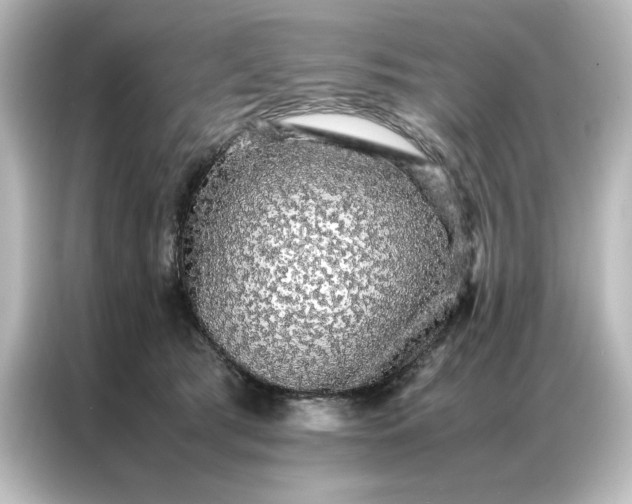 X0000087060417200705021220