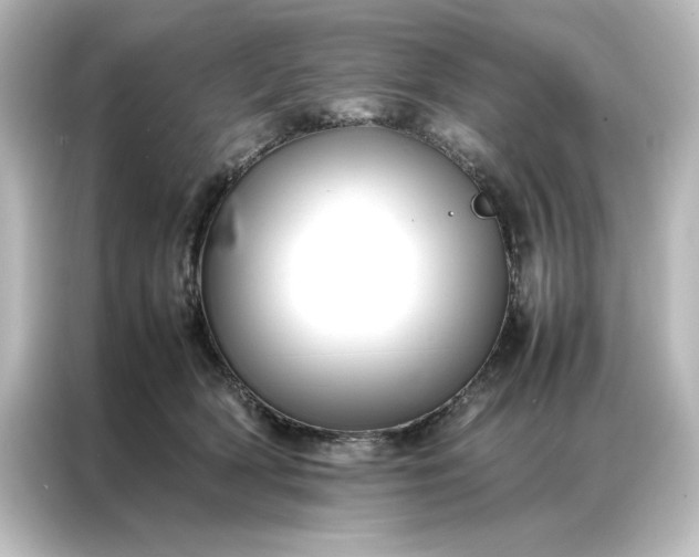 X0000087060418200705021220