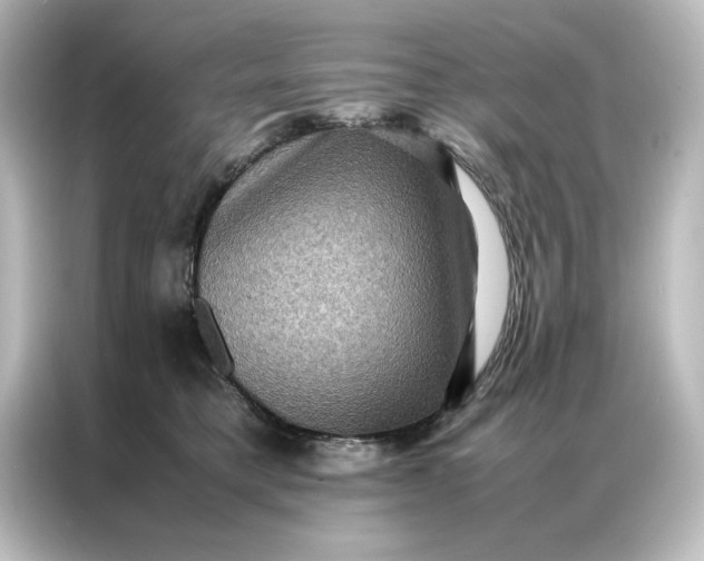 X0000087060421200705021220