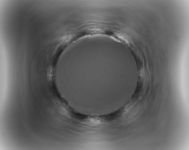 X0000087060423200705021220