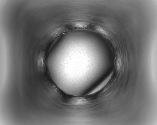 X0000087060424200705021220