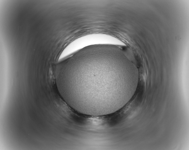 X0000087060425200705021220