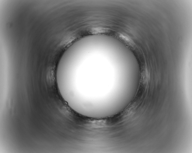 X0000087060426200705021220