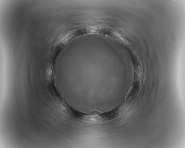 X0000087060427200705021220