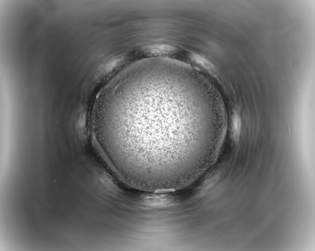 X0000087060428200705021220