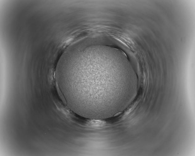 X0000087060429200705021220