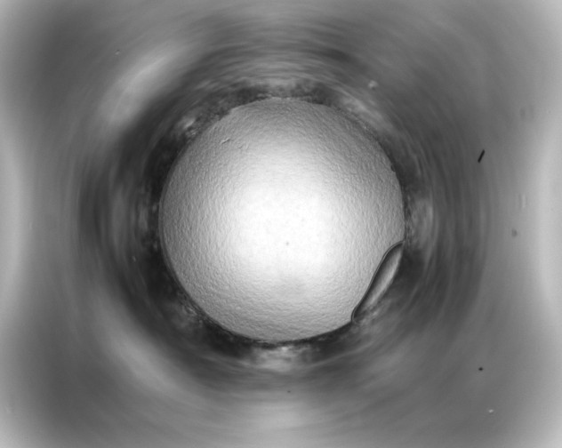 X0000087060430200705021220