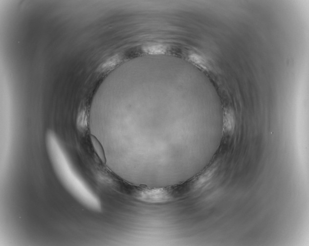 X0000087060431200705021220