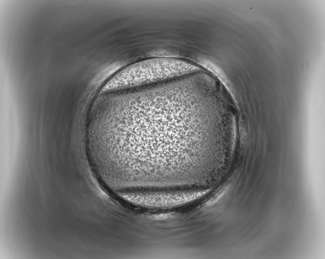 X0000087060433200705021220