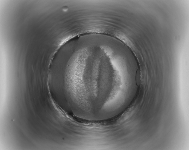 X0000087060434200705021220