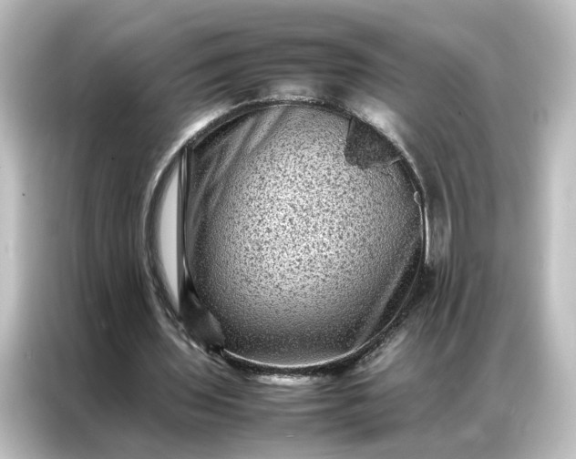 X0000087060435200705021220