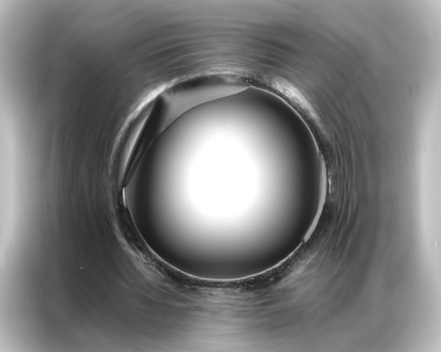 X0000087060436200705021220