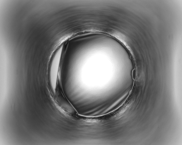 X0000087060437200705021220