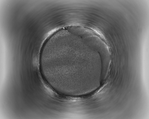 X0000087060438200705021220