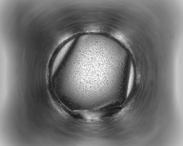 X0000087060439200705021220