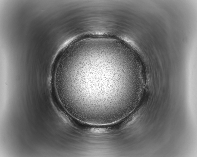 X0000087060440200705021220