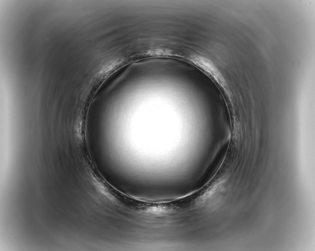 X0000087060441200705021220